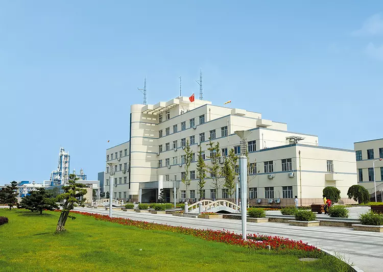 Based in Guangzhou